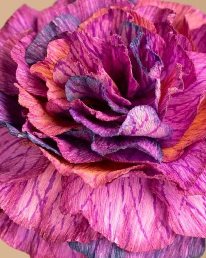 A handmade crepe-paper ranunculus in purple and orange, on a long green stem